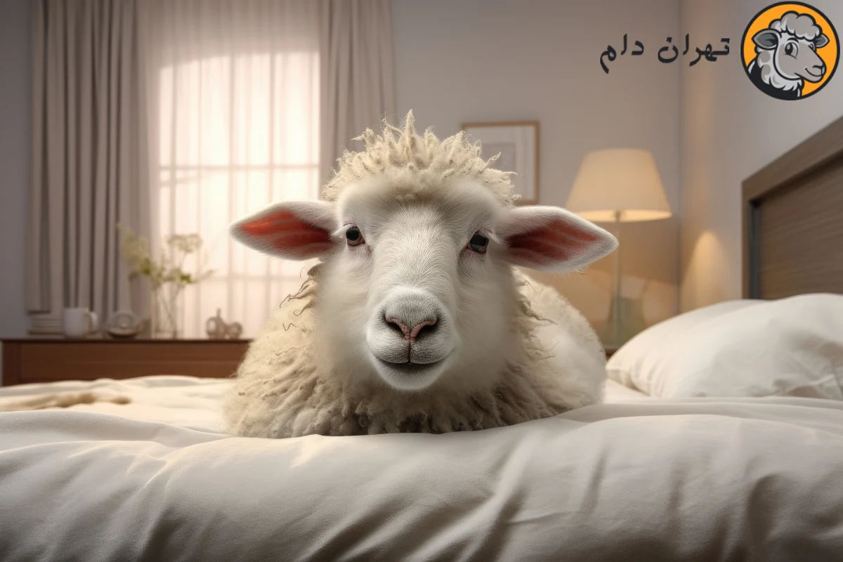 تعبیر خواب گوسفند