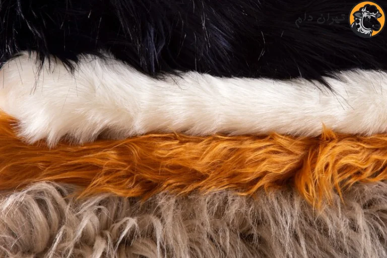 کاربرد های پوست گوسفند